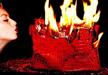 Sacs en cuir et végétarisme