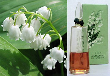 Muguet argent et Diorissimo