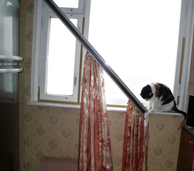 Comment empêcher un chat de gâcher les choses