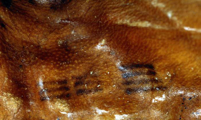 Tatouages ​​antiques