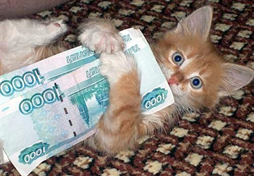 Travail préféré et crise