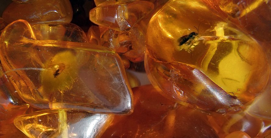 Les meilleurs bijoux en ambre