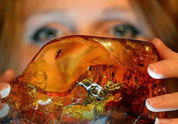 Les meilleurs bijoux en ambre