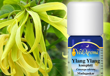 Huile essentielle d'ylang-ylang