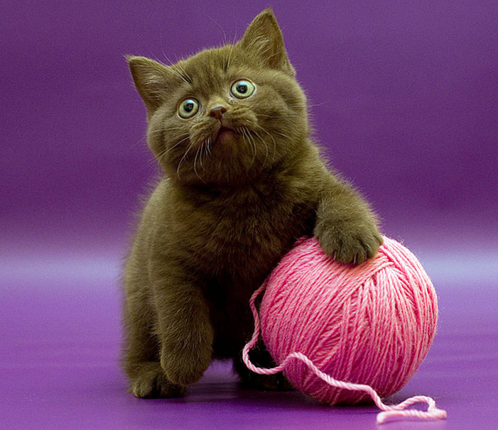 Pulls chers ou pull sur mesure ?