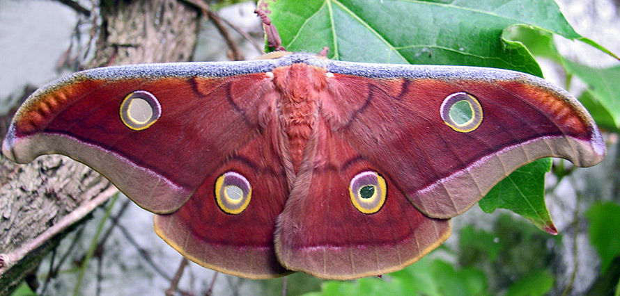 stylehub.techinfus.com 4 ans !