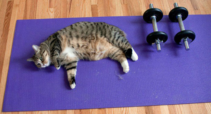 Fitness - La fin justifie-t-elle les moyens ?