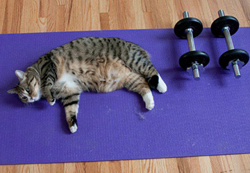 Fitness - La fin justifie-t-elle les moyens ?