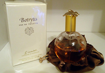 Parfumerie à l'arôme de coing