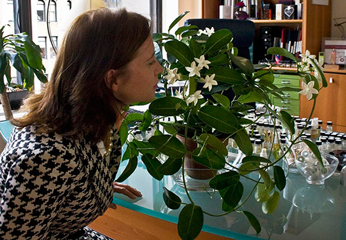 Meilleur parfum de Calice Becker