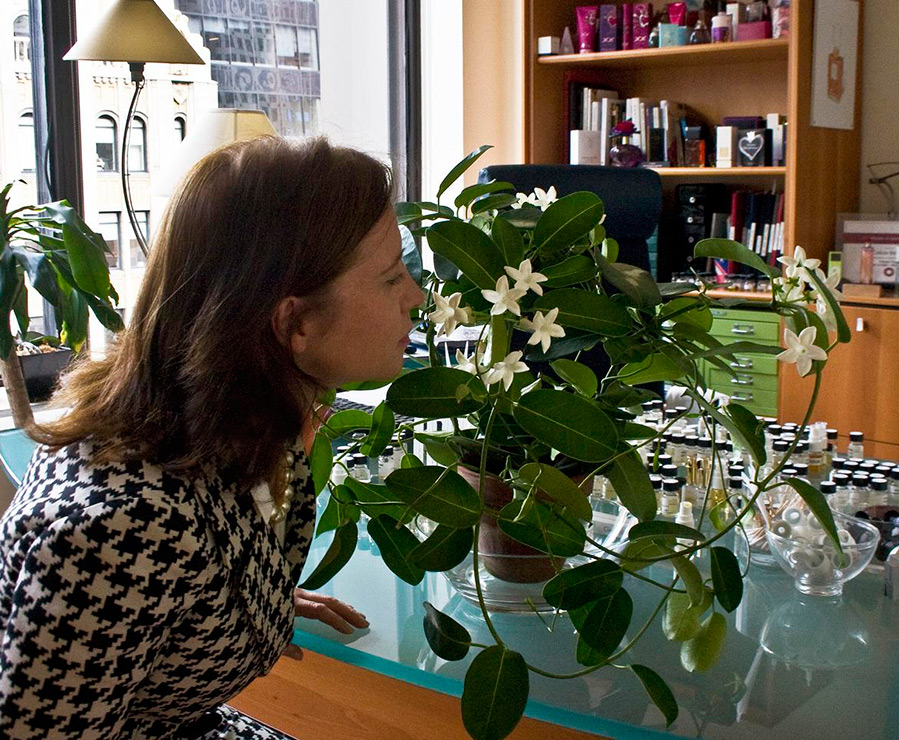 Meilleur parfum de Calice Becker