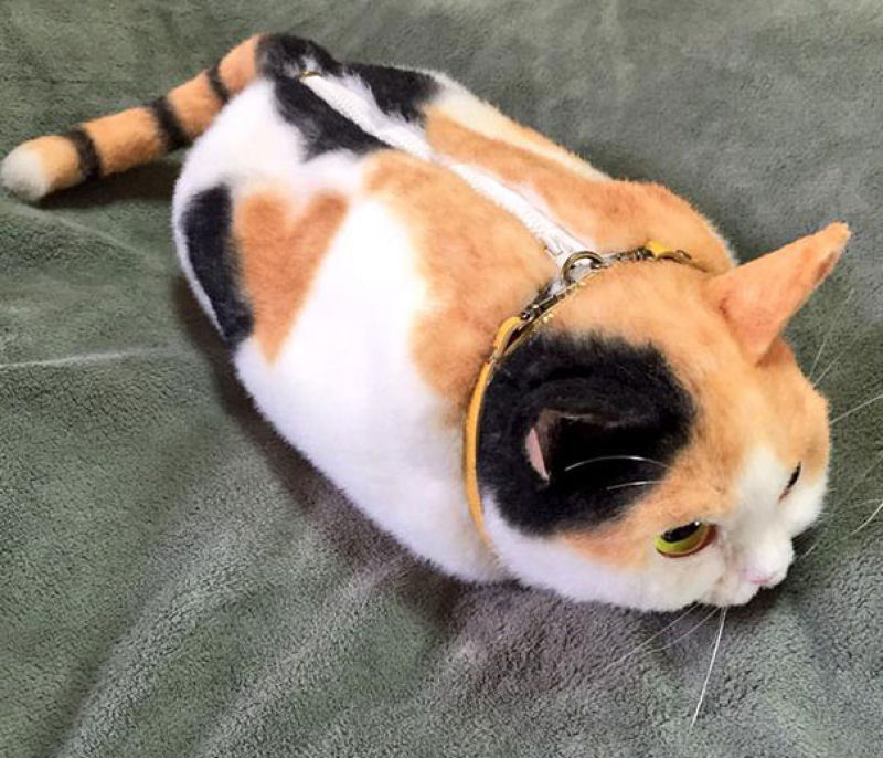 Sac à la mode en chat