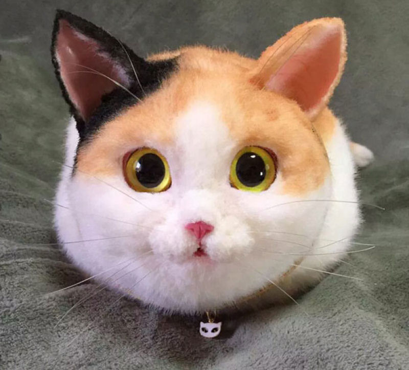 Sac à la mode en chat