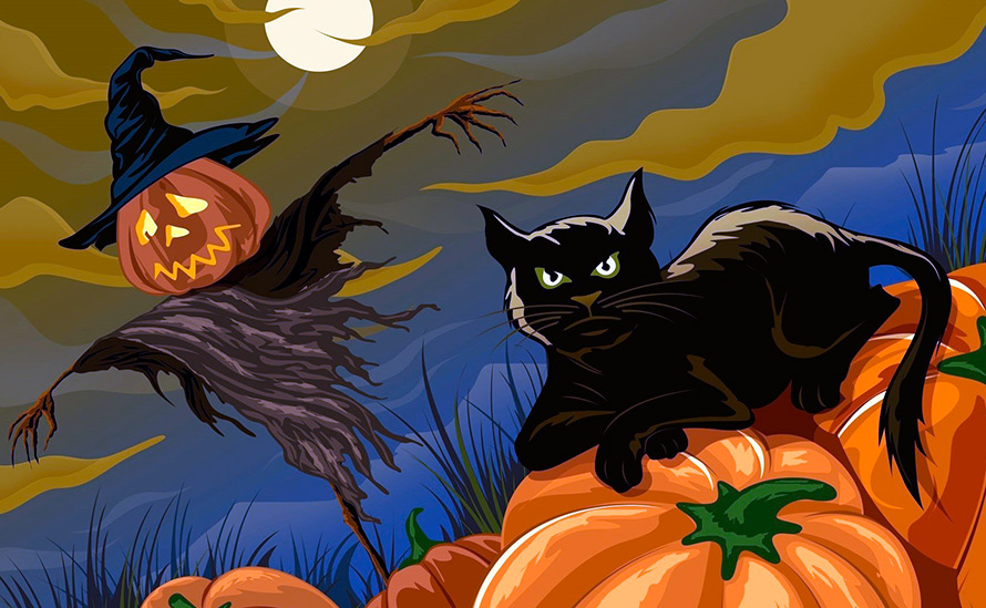 Chats noirs d'Halloween