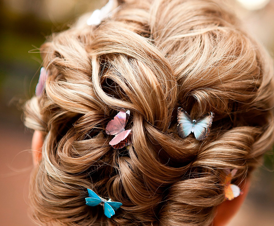 Bijoux de cheveux papillon