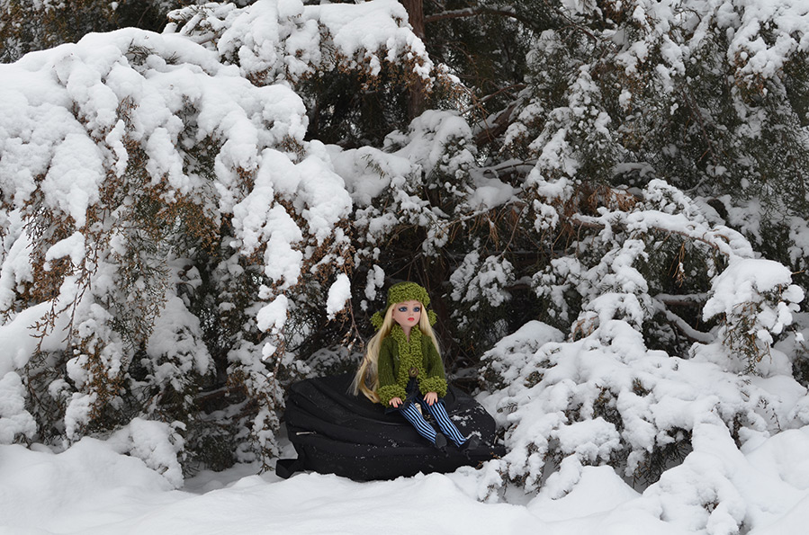 Séance photo hivernale pour votre poupée préférée