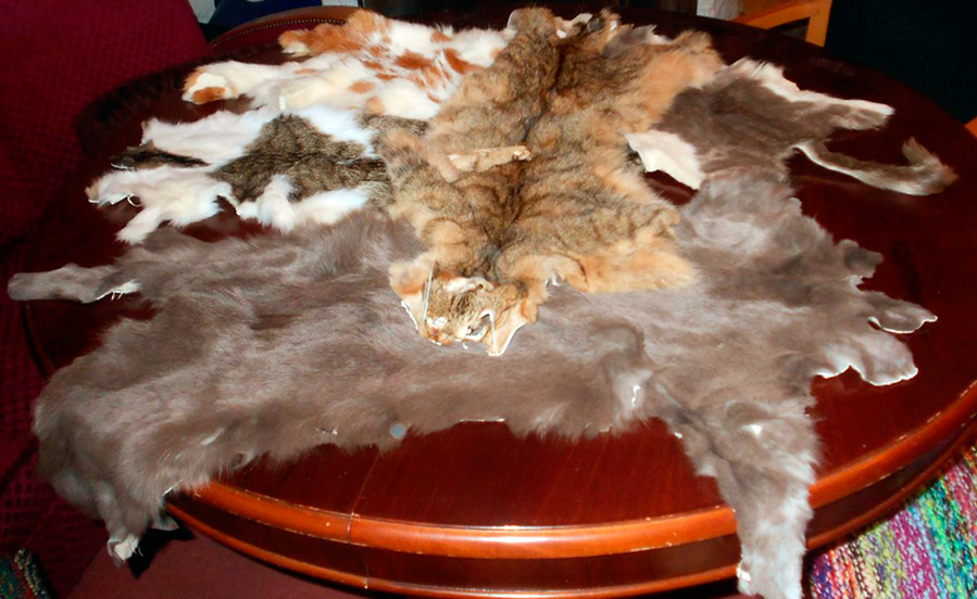 Produits en fourrure de chats en Chine