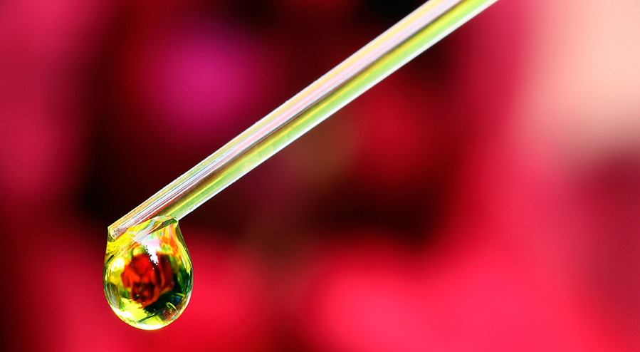 L'utilisation de l'huile de sapin en cosmétologie