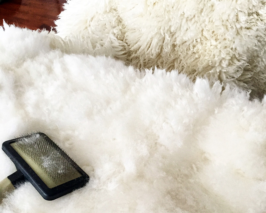Comment nettoyer les peaux de mouton à la maison