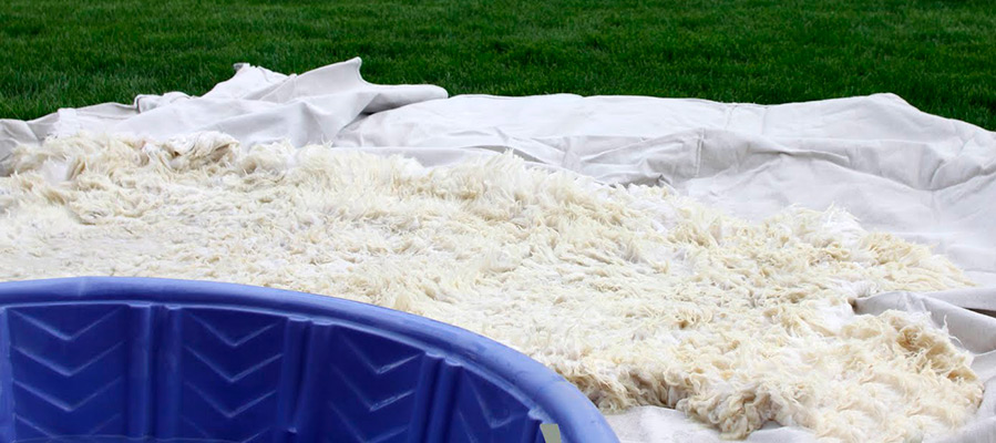 Laver à la main les peaux de mouton