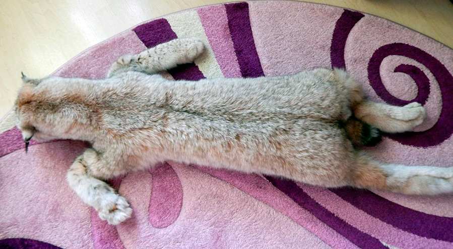 12 cadeaux insolites pour le 8 mars