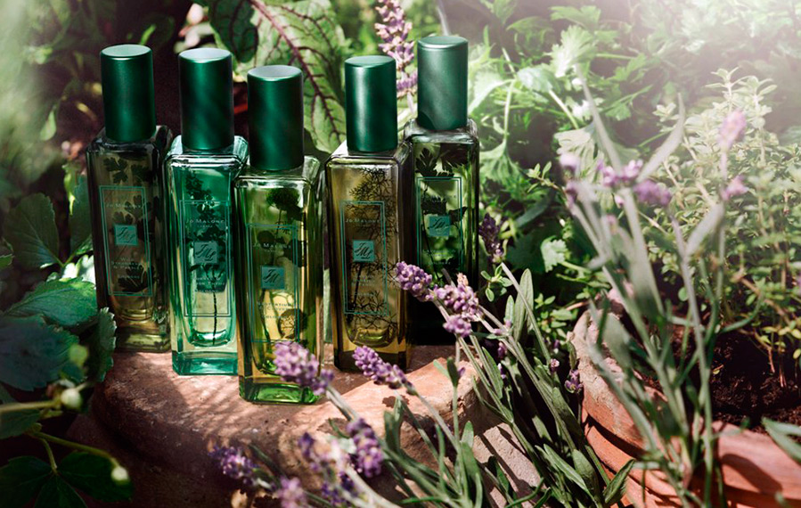 Nouveaux parfums pour femmes et filles