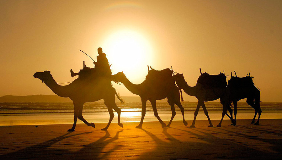 L'histoire de la parfumerie dans la Judée antique