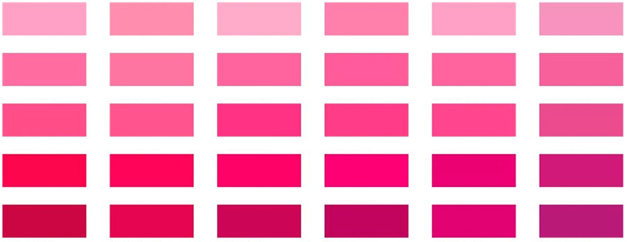 Couleur fuchsia - photo