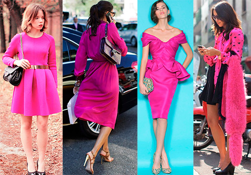 Couleur fuchsia - photos des meilleures images