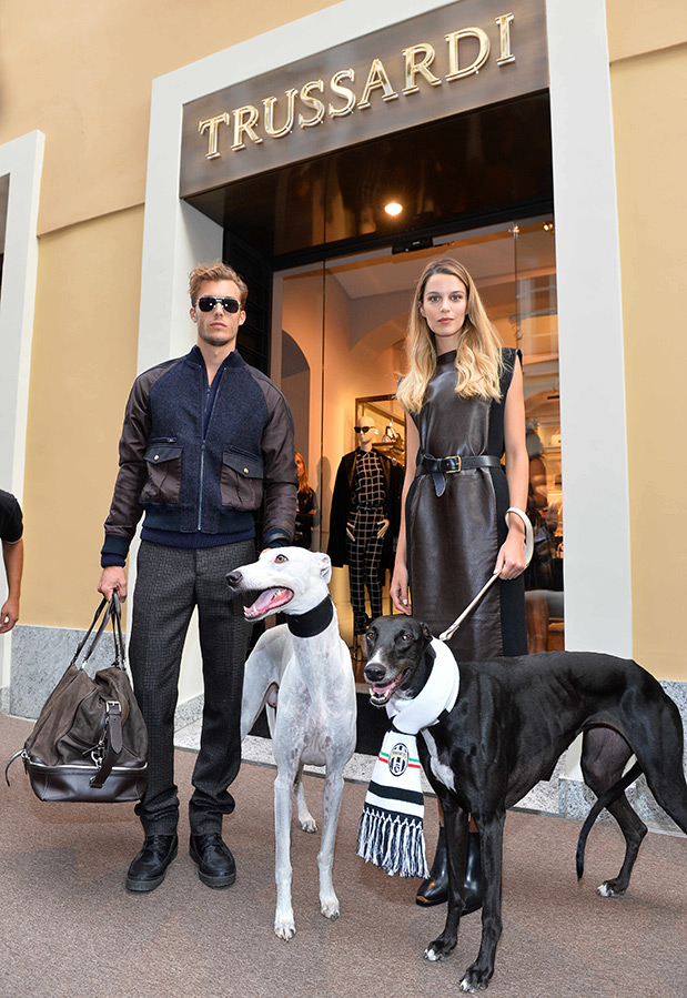 Colliers et vêtements à la mode pour chiens de Trussardi