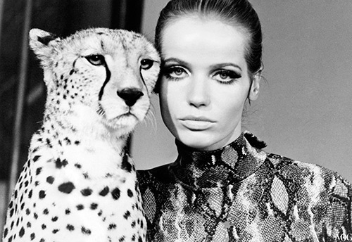 Les meilleures photos du mannequin Veruschka