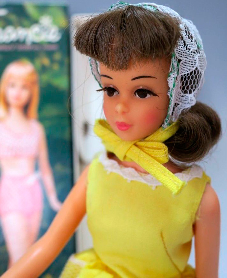 Comment collectionner correctement les poupées