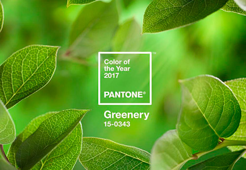 La principale couleur à la mode de 2026