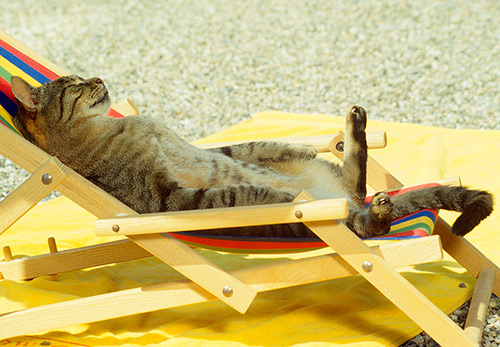 Comment bronzer - les principales idées fausses sur le bronzage