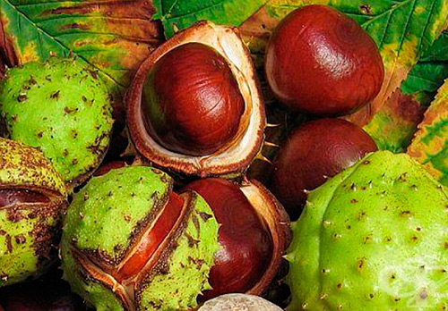 Ingrédients efficaces des produits anti-cellulite