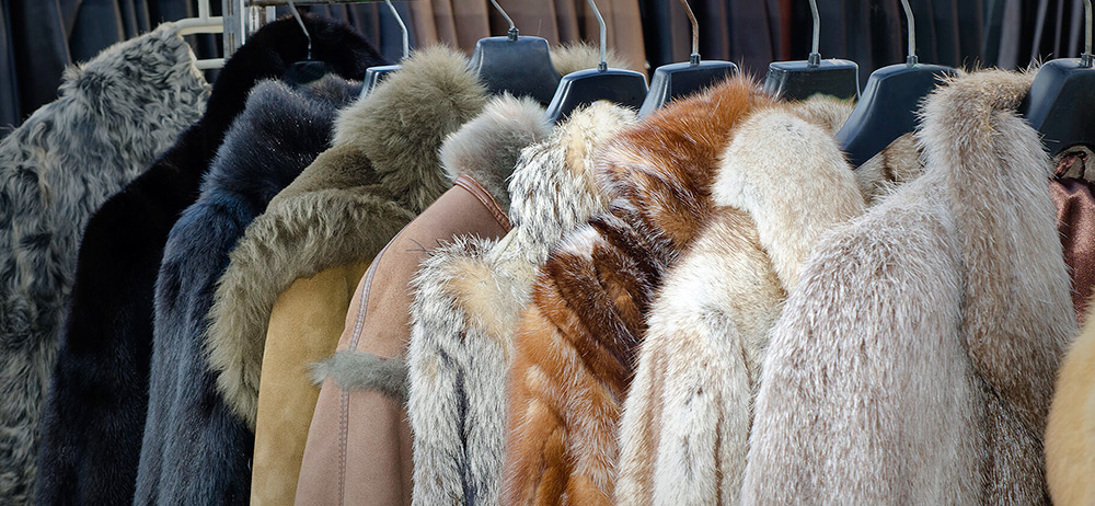 Pas de vraie fausse fourrure