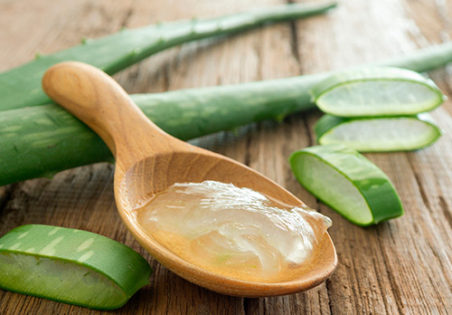 Ce que vous devez savoir sur les propriétés médicinales de l'Aloe Vera