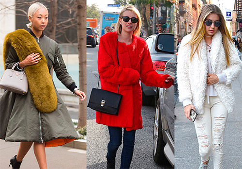 Interdiction de la vente de fourrure naturelle et démocratie