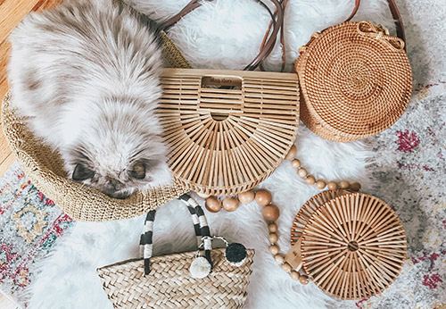 20 sacs en paille pour les looks de bureau et de plage