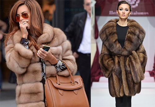 Comment la fourrure de zibeline est obtenue en Sibérie