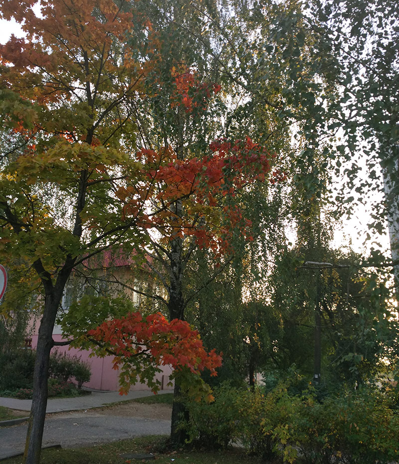 Où trouver l'inspiration cet automne