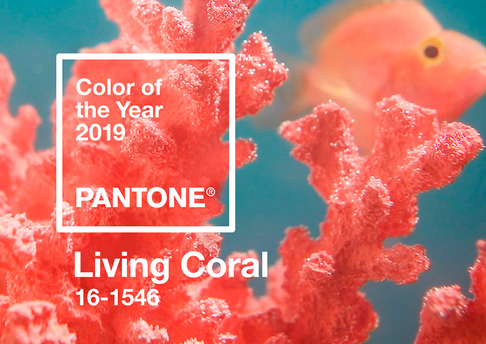 Couleur principale de 2026