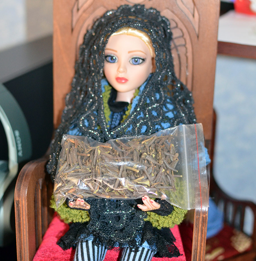 Sagan Daila - une alternative au café