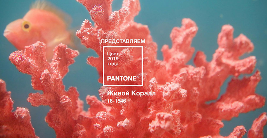 Couleur principale corail 2026