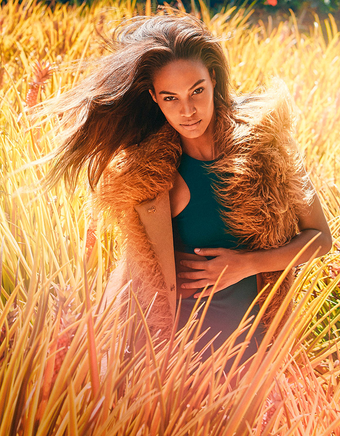 top modèle Joan Smalls