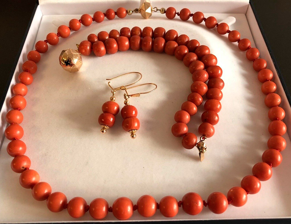 Beaux coraux dans la nature et décorations