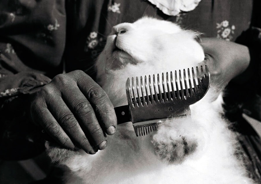 Usine de vêtements Luisa Spagnoli