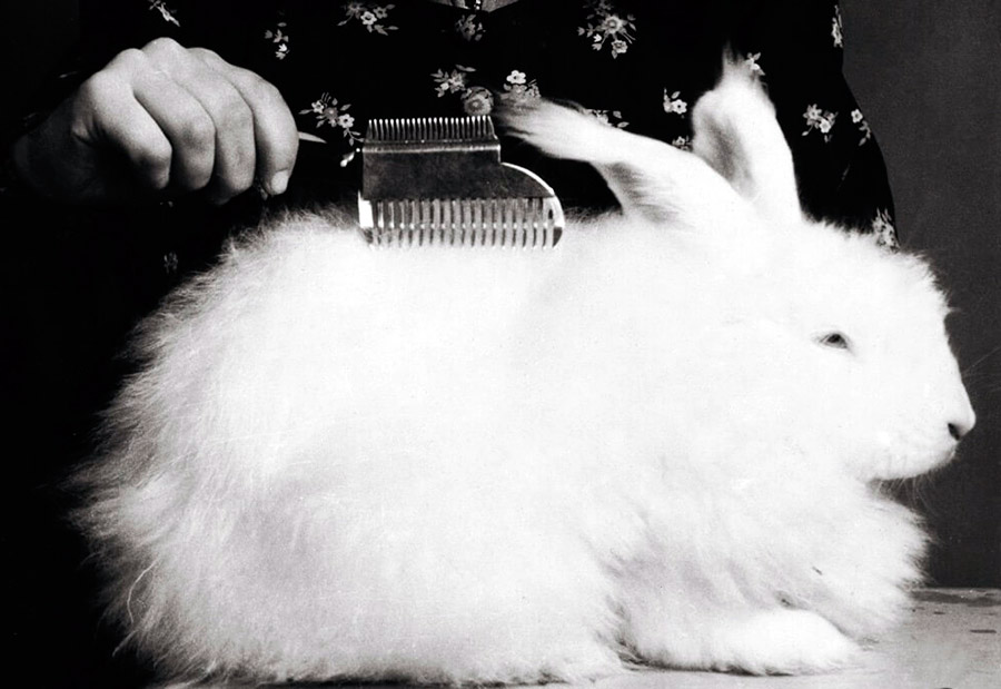 Produits Luisa Spagnoli Angora