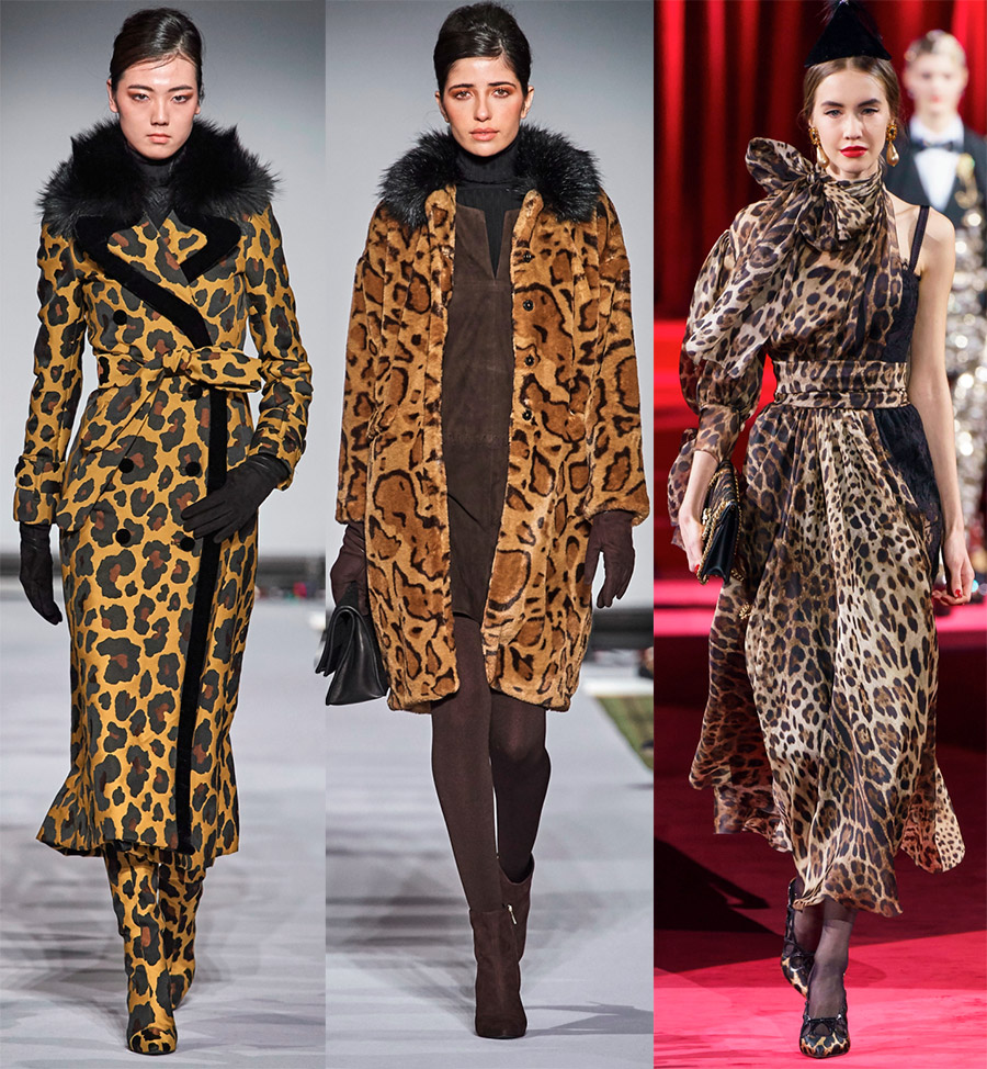 Imprimé léopard 2025-2026