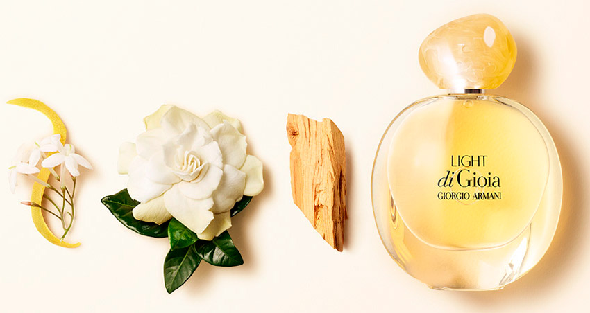 Parfums à la mode 2026